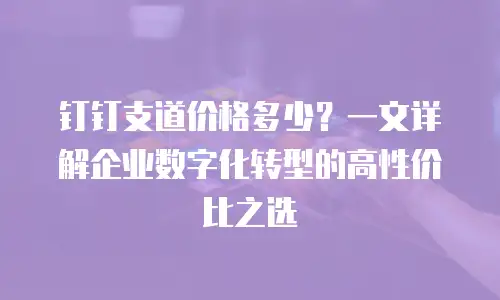 钉钉支道价格多少？一文详解企业数字化转型的高性价比之选