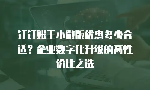 钉钉账王小微版优惠多少合适？企业数字化升级的高性价比之选