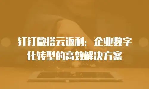 钉钉微搭云返利：企业数字化转型的高效解决方案