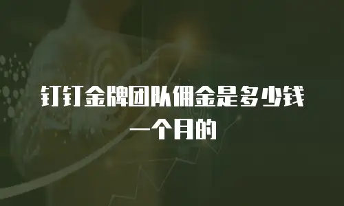 钉钉金牌团队佣金是多少钱一个月的