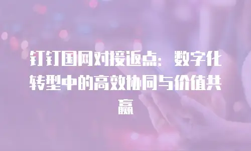 钉钉国网对接返点：数字化转型中的高效协同与价值共赢