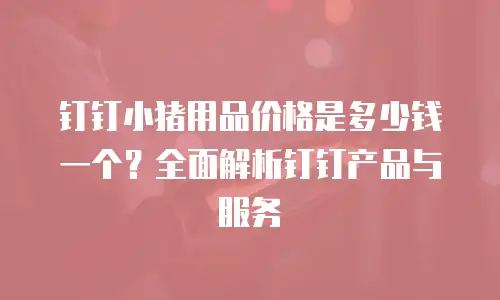 钉钉小猪用品价格是多少钱一个？全面解析钉钉产品与服务