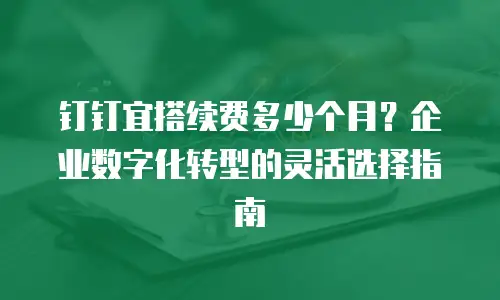 钉钉宜搭续费多少个月？企业数字化转型的灵活选择指南