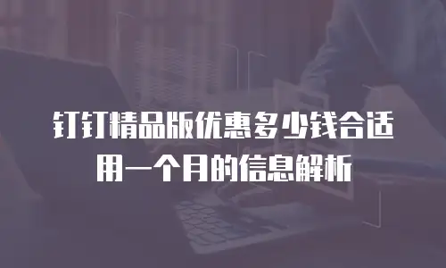 钉钉精品版优惠多少钱合适用一个月的信息解析