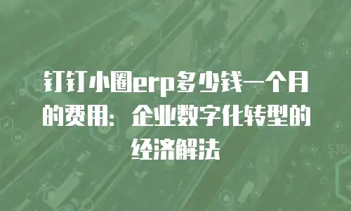 钉钉小圈erp多少钱一个月的费用：企业数字化转型的经济解法