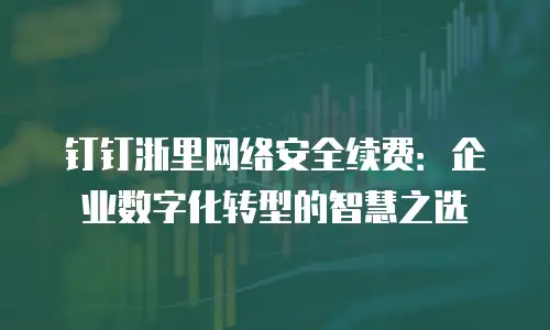 钉钉浙里网络安全续费：企业数字化转型的智慧之选