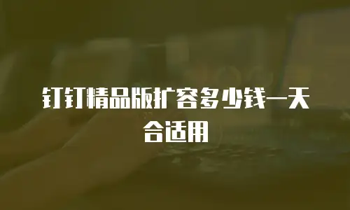 钉钉精品版扩容多少钱一天合适用