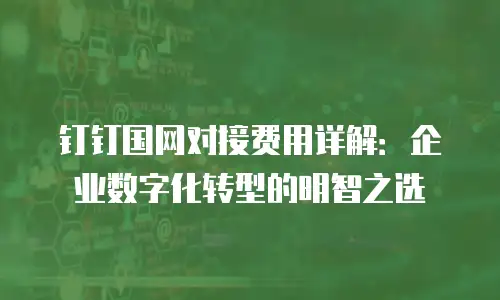 钉钉国网对接费用详解：企业数字化转型的明智之选