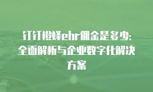 钉钉橙蜂ehr佣金是多少：全面解析与企业数字化解决方案