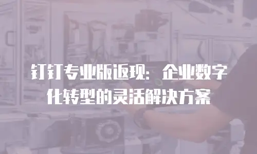 钉钉专业版返现：企业数字化转型的灵活解决方案