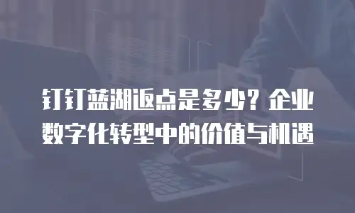 钉钉蓝湖返点是多少？企业数字化转型中的价值与机遇