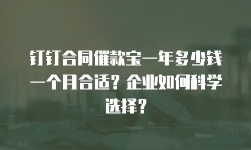 钉钉合同催款宝一年多少钱一个月合适？企业如何科学选择？