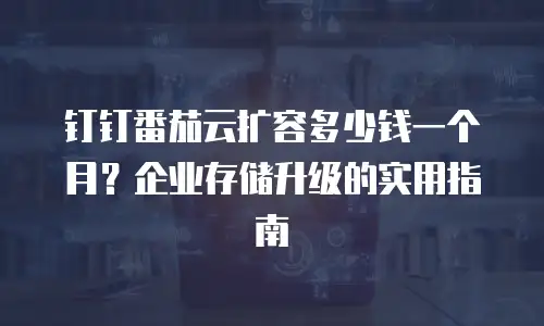 钉钉番茄云扩容多少钱一个月？企业存储升级的实用指南
