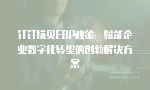 钉钉搭贝ERP政策：赋能企业数字化转型的创新解决方案