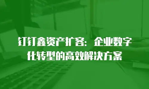 钉钉鑫资产扩容：企业数字化转型的高效解决方案