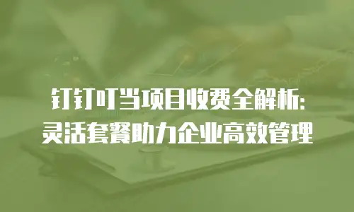 钉钉叮当项目收费全解析：灵活套餐助力企业高效管理