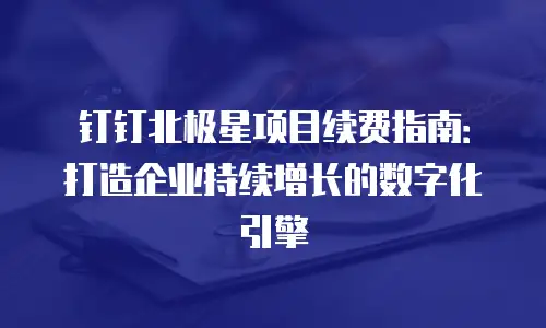 钉钉北极星项目续费指南：打造企业持续增长的数字化引擎