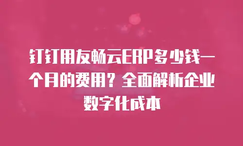 钉钉用友畅云ERP多少钱一个月的费用？全面解析企业数字化成本