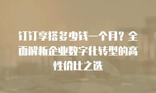 钉钉享搭多少钱一个月？全面解析企业数字化转型的高性价比之选