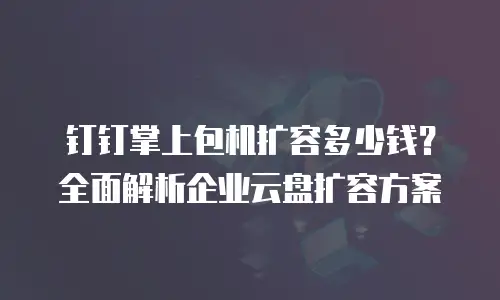 钉钉掌上包机扩容多少钱？全面解析企业云盘扩容方案