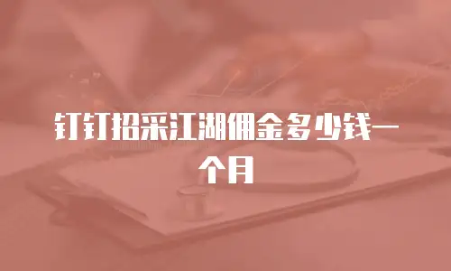 钉钉招采江湖佣金多少钱一个月
