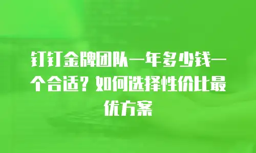 钉钉金牌团队一年多少钱一个合适？如何选择性价比最优方案