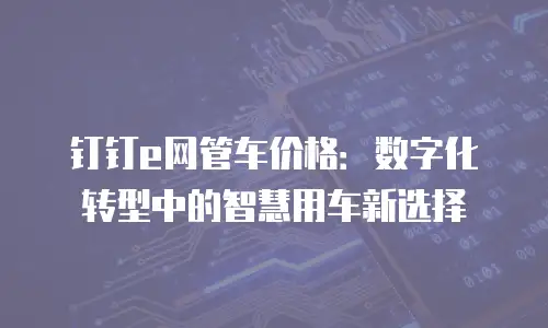 钉钉e网管车价格：数字化转型中的智慧用车新选择