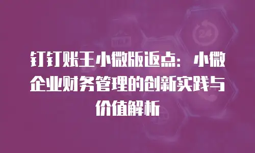 钉钉账王小微版返点：小微企业财务管理的创新实践与价值解析