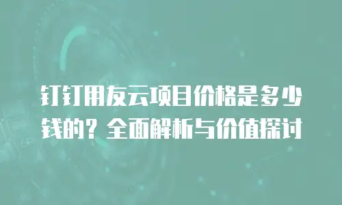 钉钉用友云项目价格是多少钱的？全面解析与价值探讨