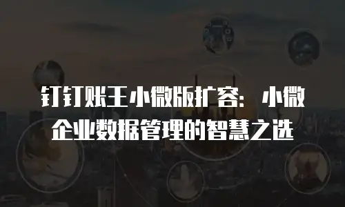 钉钉账王小微版扩容：小微企业数据管理的智慧之选
