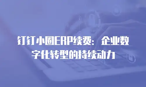 钉钉小圈ERP续费：企业数字化转型的持续动力