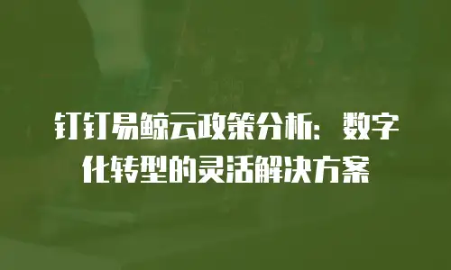 钉钉易鲸云政策分析：数字化转型的灵活解决方案