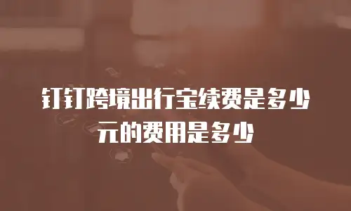 钉钉跨境出行宝续费是多少元的费用是多少