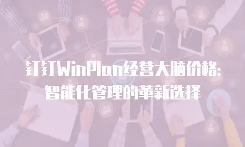 钉钉WinPlan经营大脑价格：智能化管理的革新选择