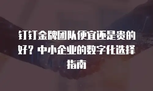 钉钉金牌团队便宜还是贵的好？中小企业的数字化选择指南