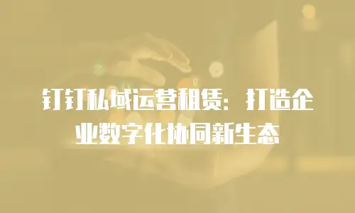钉钉私域运营租赁：打造企业数字化协同新生态