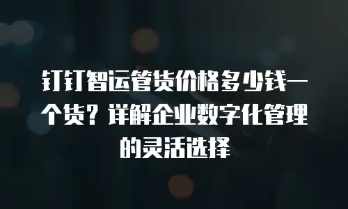 钉钉智运管货价格多少钱一个货？详解企业数字化管理的灵活选择