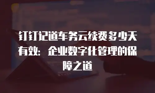 钉钉记道车务云续费多少天有效：企业数字化管理的保障之道
