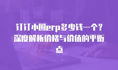 钉钉小圈erp多少钱一个？深度解析价格与价值的平衡点