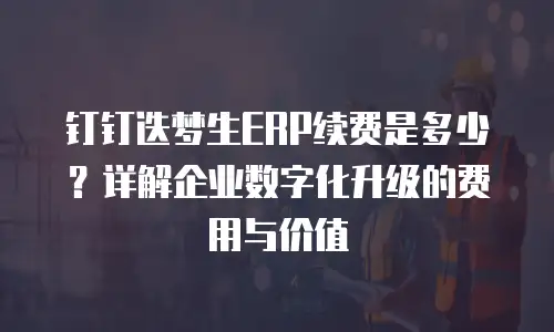 钉钉迭梦生ERP续费是多少？详解企业数字化升级的费用与价值