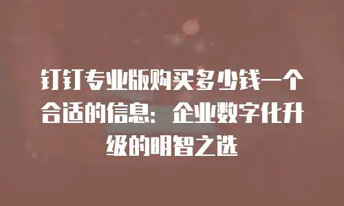 钉钉专业版购买多少钱一个合适的信息：企业数字化升级的明智之选