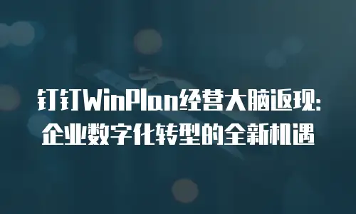 钉钉WinPlan经营大脑返现：企业数字化转型的全新机遇