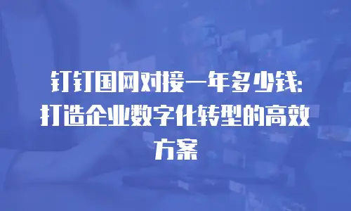 钉钉国网对接一年多少钱：打造企业数字化转型的高效方案