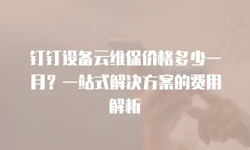 钉钉设备云维保价格多少一月？一站式解决方案的费用解析
