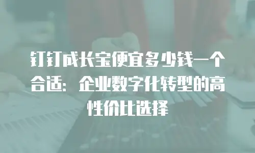 钉钉成长宝便宜多少钱一个合适：企业数字化转型的高性价比选择