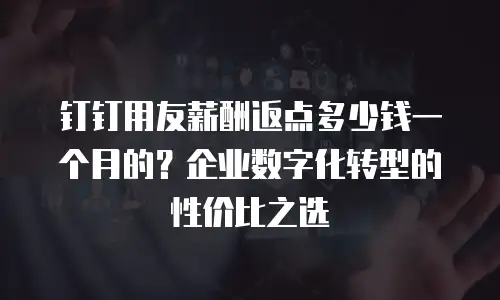 钉钉用友薪酬返点多少钱一个月的？企业数字化转型的性价比之选