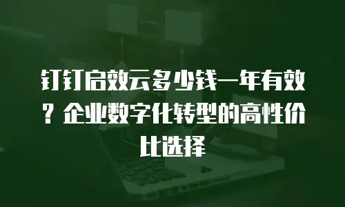 钉钉启效云多少钱一年有效？企业数字化转型的高性价比选择