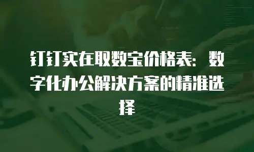 钉钉实在取数宝价格表：数字化办公解决方案的精准选择