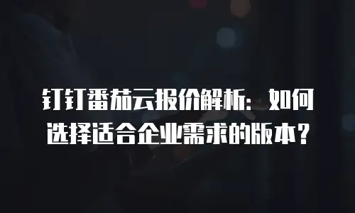 钉钉番茄云报价解析：如何选择适合企业需求的版本？