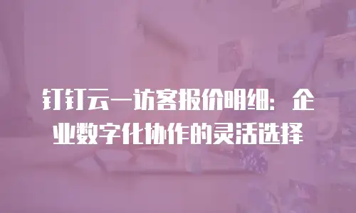 钉钉云一访客报价明细：企业数字化协作的灵活选择